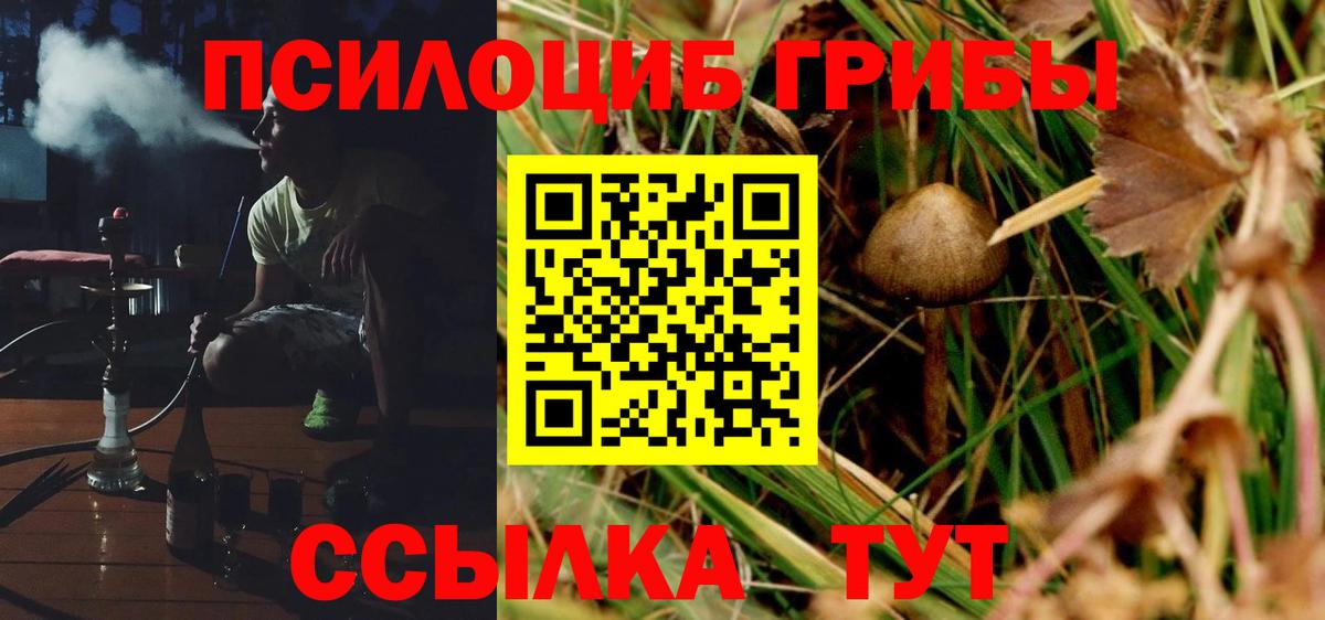 Кемерово  Псилоцибиновые грибы Magic Shrooms  Вход с VPN 